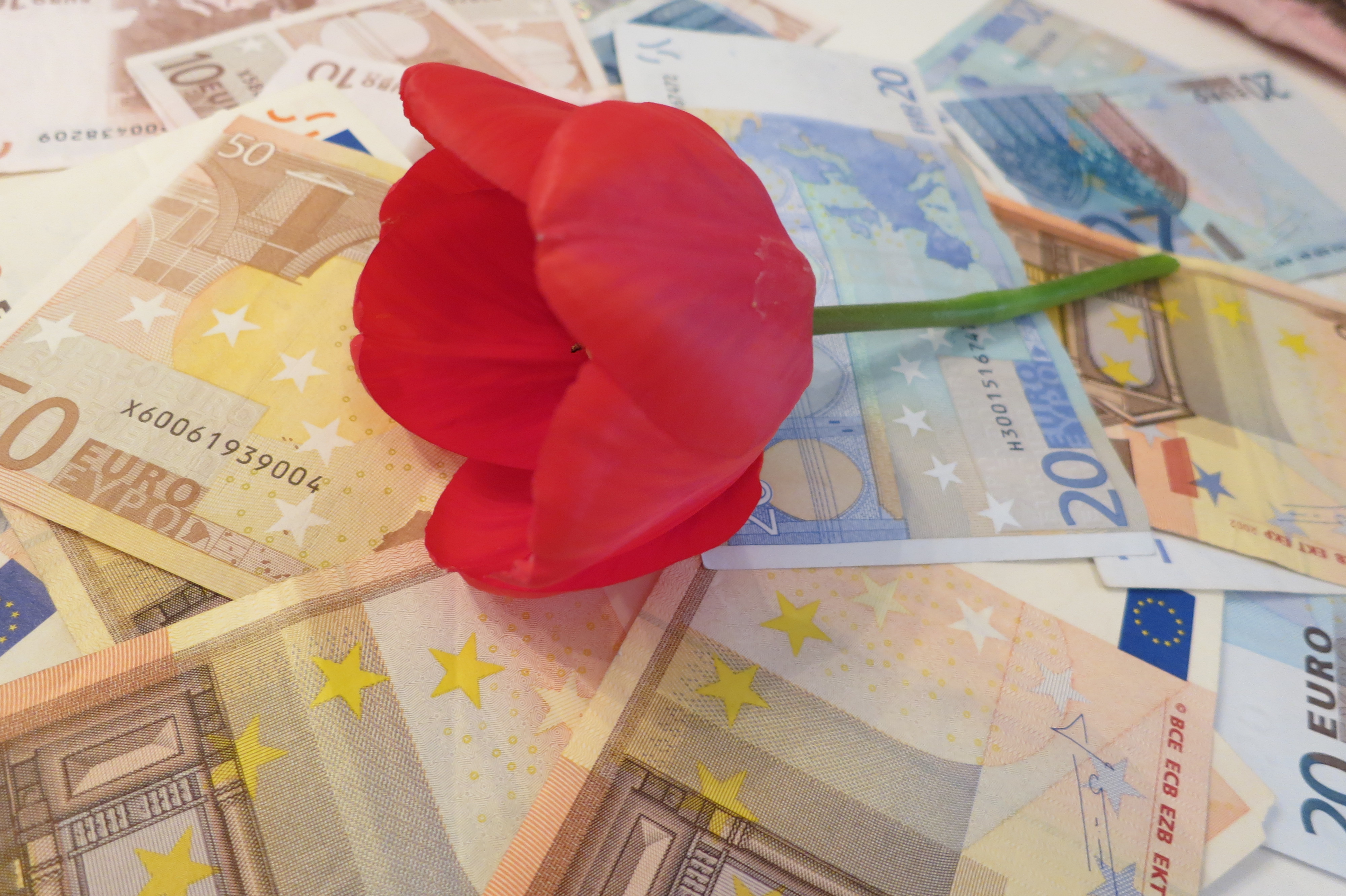 Jar - bankovky a kvet